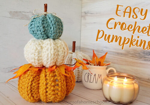 EASY Crochet Pumpkins (Beginner Crochet!) - Confessions of a Homeschooler